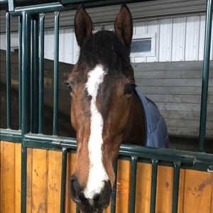 Meet your Posher, Jennifer